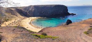 papagajo plaz lanzarote